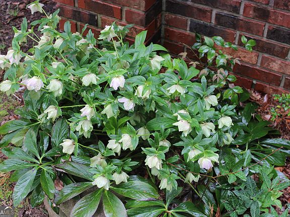 5th image of 1150 Harris Hollis Ln