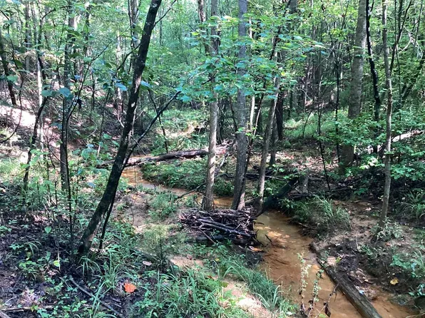 2400 Thomas Rd, Luverne, AL 36049