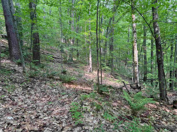 0 Ober Hill Road, Townshend, VT 05353