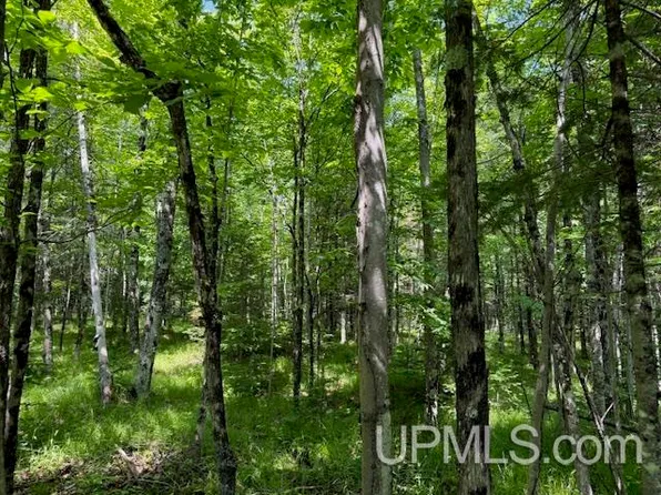 First Crossing Rd, Florence, WI 54121