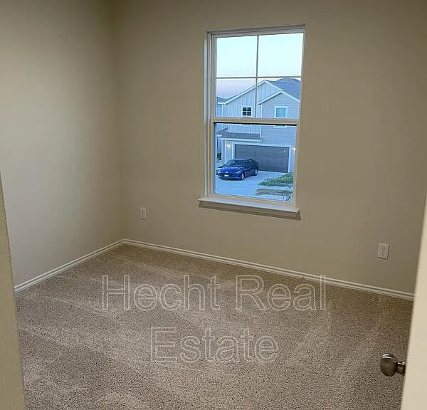 451 Forsythia — Photo 29
