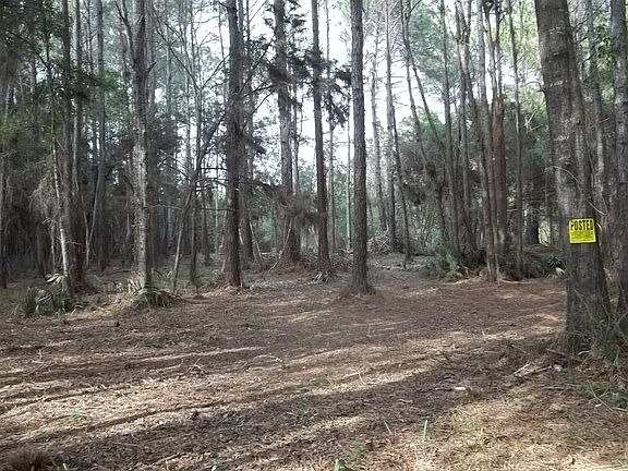 4th image of 1510 N Rock Cress Path