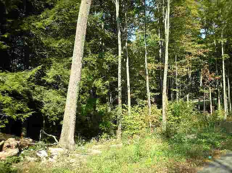 4th image of lot 1 ALEXANDER Road