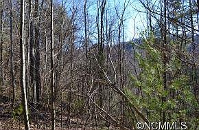 3rd image of 0 Palmer Camp Branch Dr
