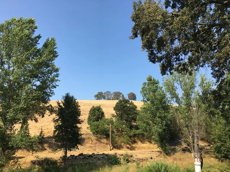 View to backyard