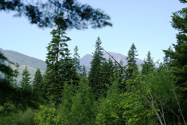 Mountain Views