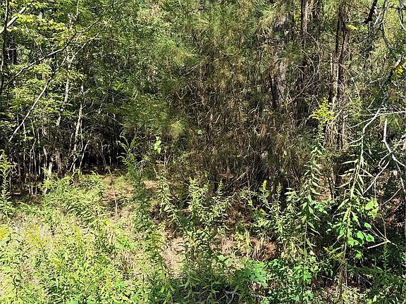 3rd image of Honeysuckle Lot 10