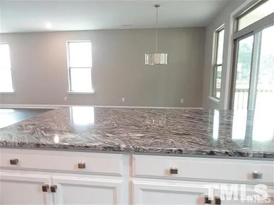 4013 Reunion Creek Pkwy — Photo 12
