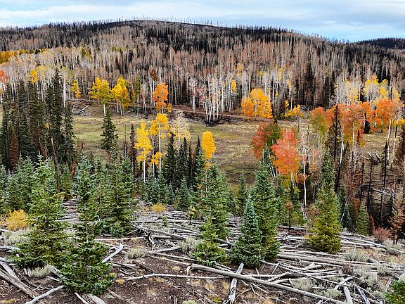 5th image of 123 E Monroe Canyon Rd