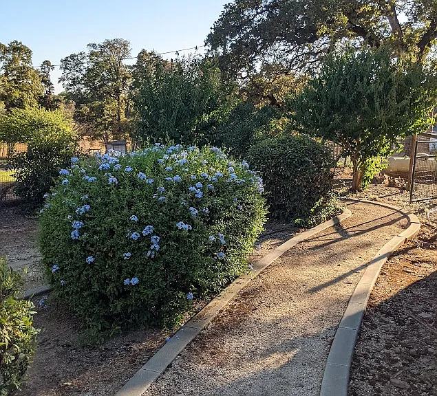 5660 Bell Rd — Photo 9