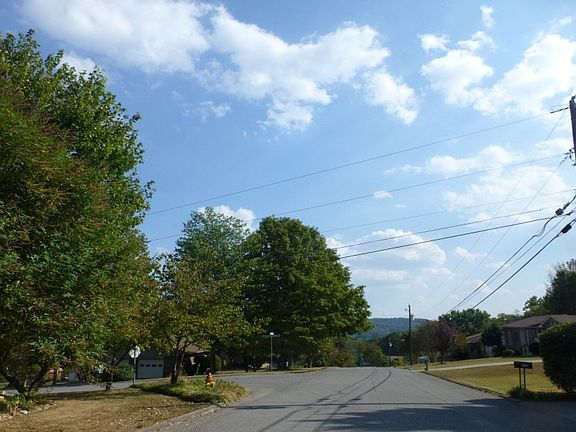 5th image of 1533 N Courtney Oak Ln