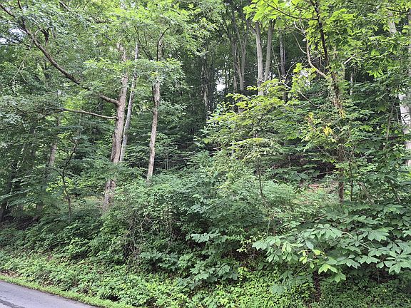4th image of Tbd Blue Ridge Rd