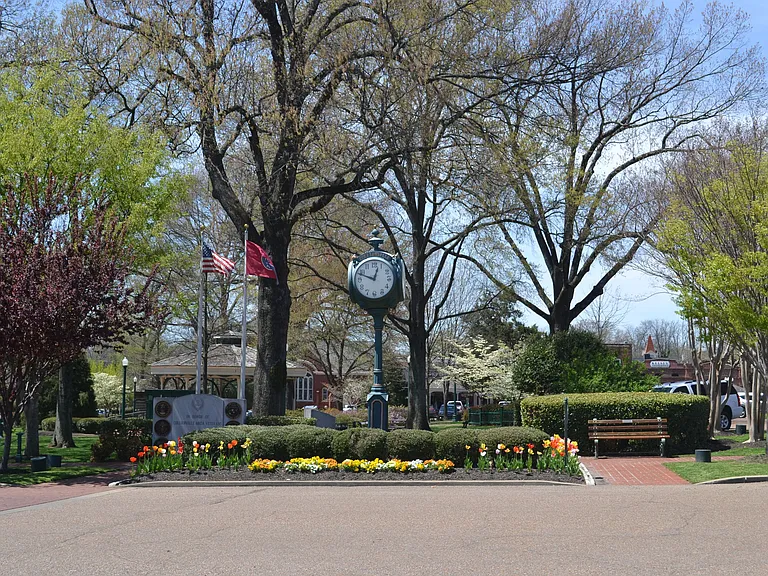 Carrington at Schilling Farms — Photo 24