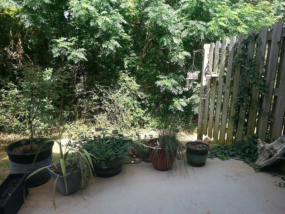 private back patio and gardening