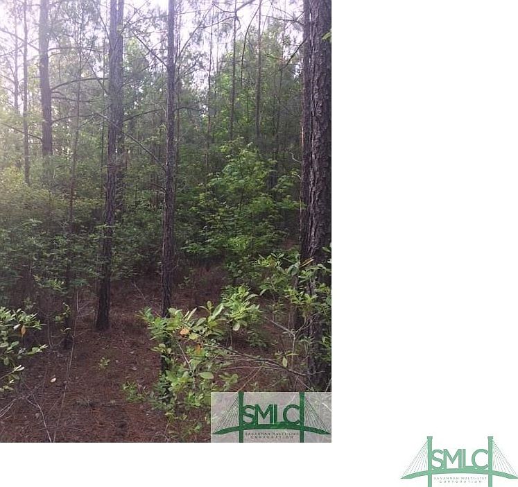 2nd image of 7750 Hwy 17 Highway N