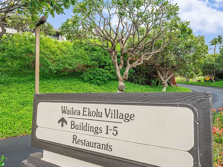 Wailea Ekolu Pl — Photo 35