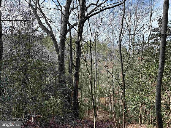 5th image of Cedar Field Rd #Et2-2003