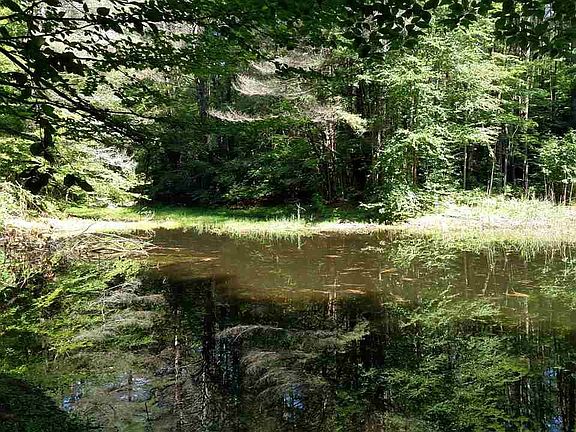 4th image of 4865 State Highway 29