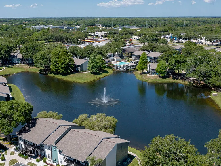 Seven Lakes at Carrollwood — Photo 11