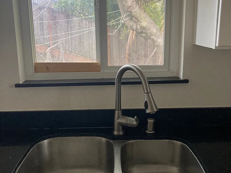 Backyard view from kitchen
