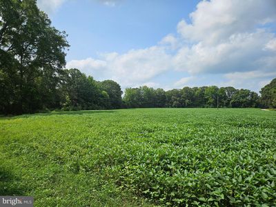 Easement Off, Ruther Glen, VA, 22546
