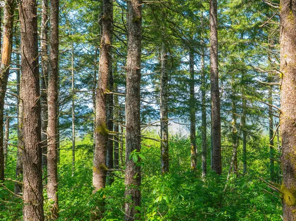 0 Hayes Creek Rd, Eddyville, OR 97343