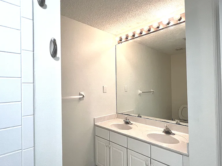 bathroom 1 attached to primary bedroom