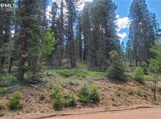 36 Chalk Circle Trl, Florissant, CO 80816
