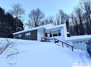 5801 Leonard Run Rd, Limestone, NY 14753