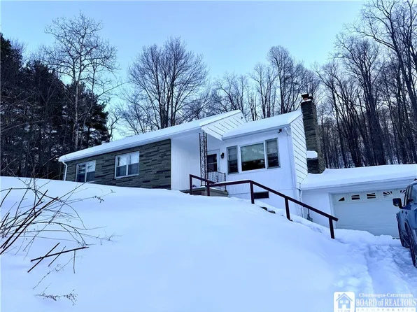 5801 Leonard Run Rd, Limestone, NY 14753