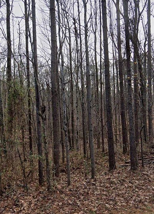 1st image of 5826 Shoal Creek Dr
