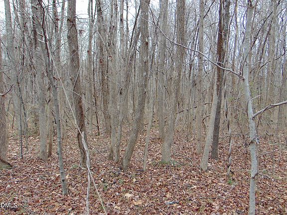 4th image of 0 Fowlkes Rd Lot 13