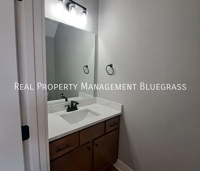 2507 Spring Leaf Ct — Photo 10