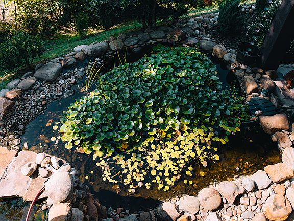 54th image of this home