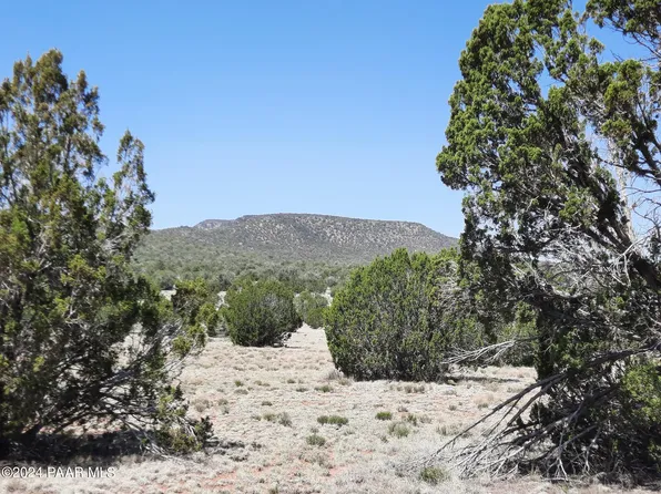 LOT 1538 N Conquistador Pkwy, Seligman, AZ 86337