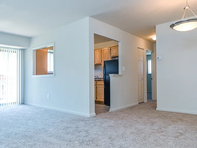 Living room with carpet