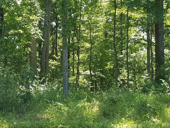 2nd image of 1656 King Arthur Dr