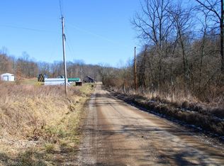 9045 Wilsonwood Rd, Blue Rock, OH 43720