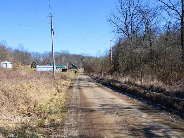 9045 Wilsonwood Rd, Blue Rock, OH 43720