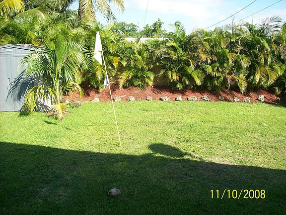 back yard
