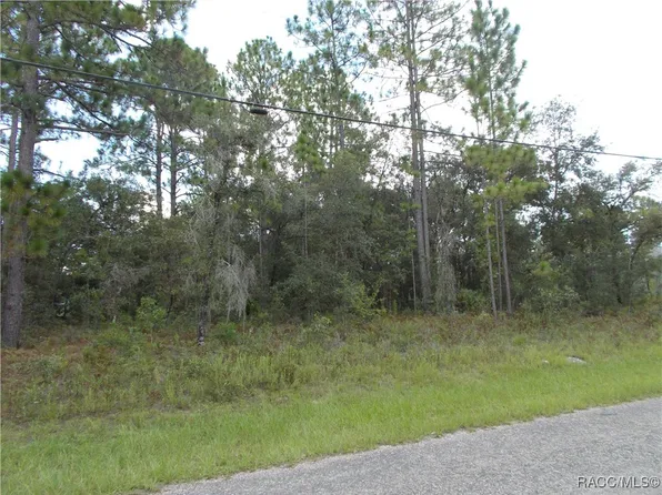 7233 N Radcliff Ave, Citrus Springs, FL 34434