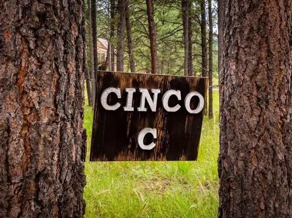 29 Via Del Rey, Angel Fire, NM 87710