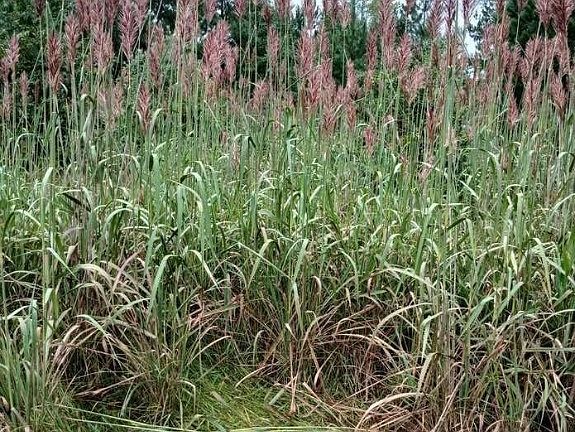 4th image of 6-72A Ridge Rd