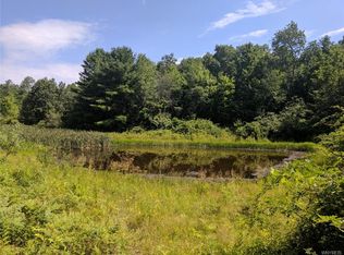 6270 Belvedere Black Rd, Belfast, NY 14711