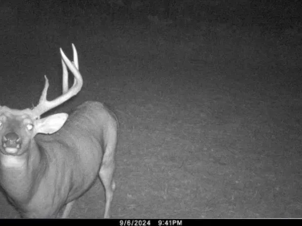 000 County Road A, Hollandale, WI 53544