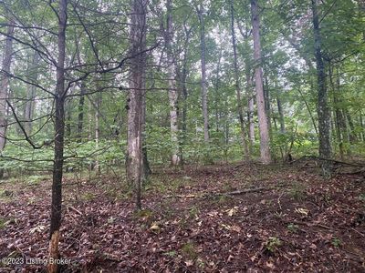 2053 Clear Creek Dr, Boston, KY, 40107