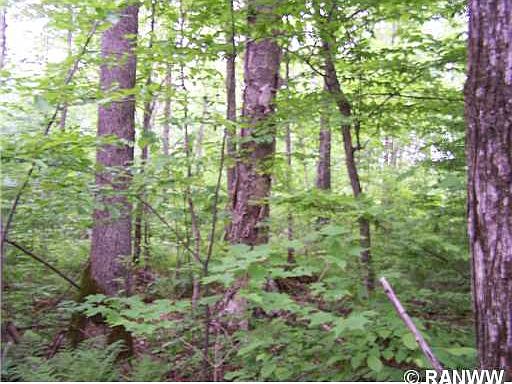4th image of Lot 67 N Lake Winter Road