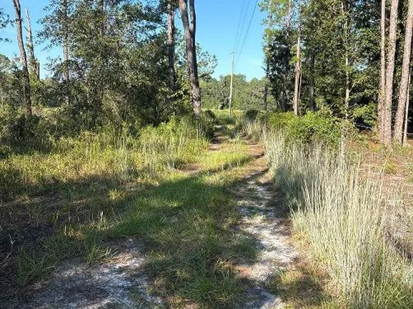 123 RD LANE, BRONSON, FL 32621