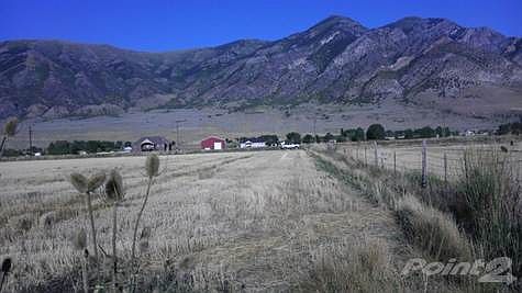 IMAG0141