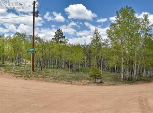 55 Aspen Way Dr, Guffey, CO 80820